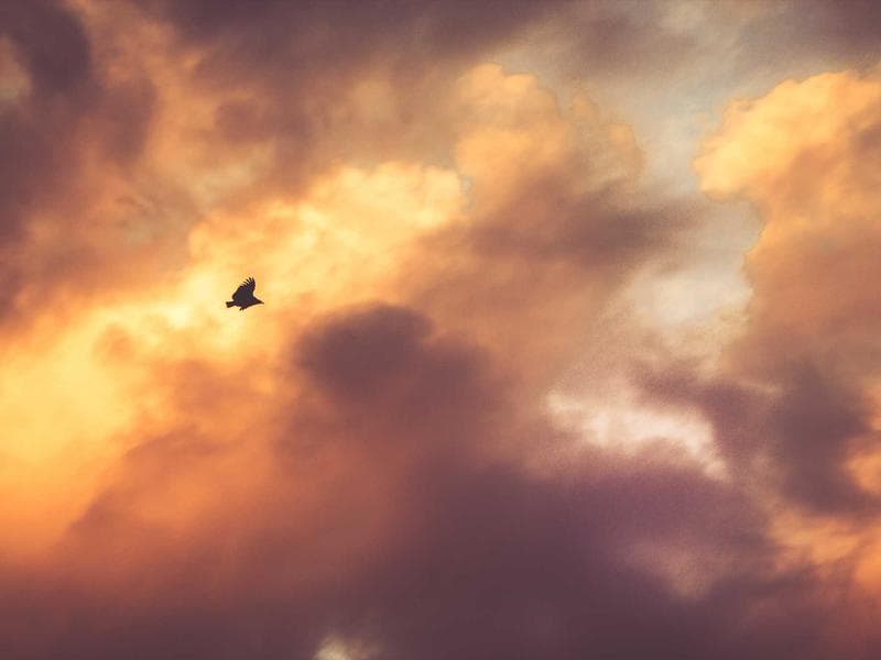 Besuch bei Nonna Maria: Die Geheimnisse der sonnengetrockneten Tomaten